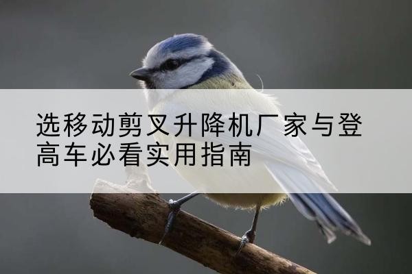 隆林各族电动升降机厂家-选移动剪叉升降机厂家与登高车必看实用指南