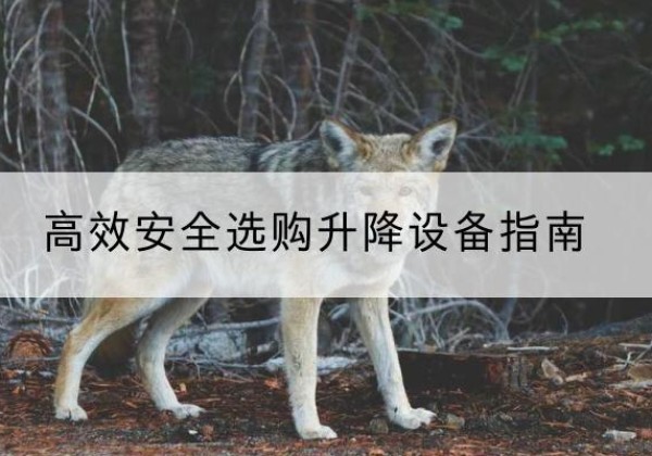 隆林各族升降货梯厂家推荐-*安全选购升降设备指南